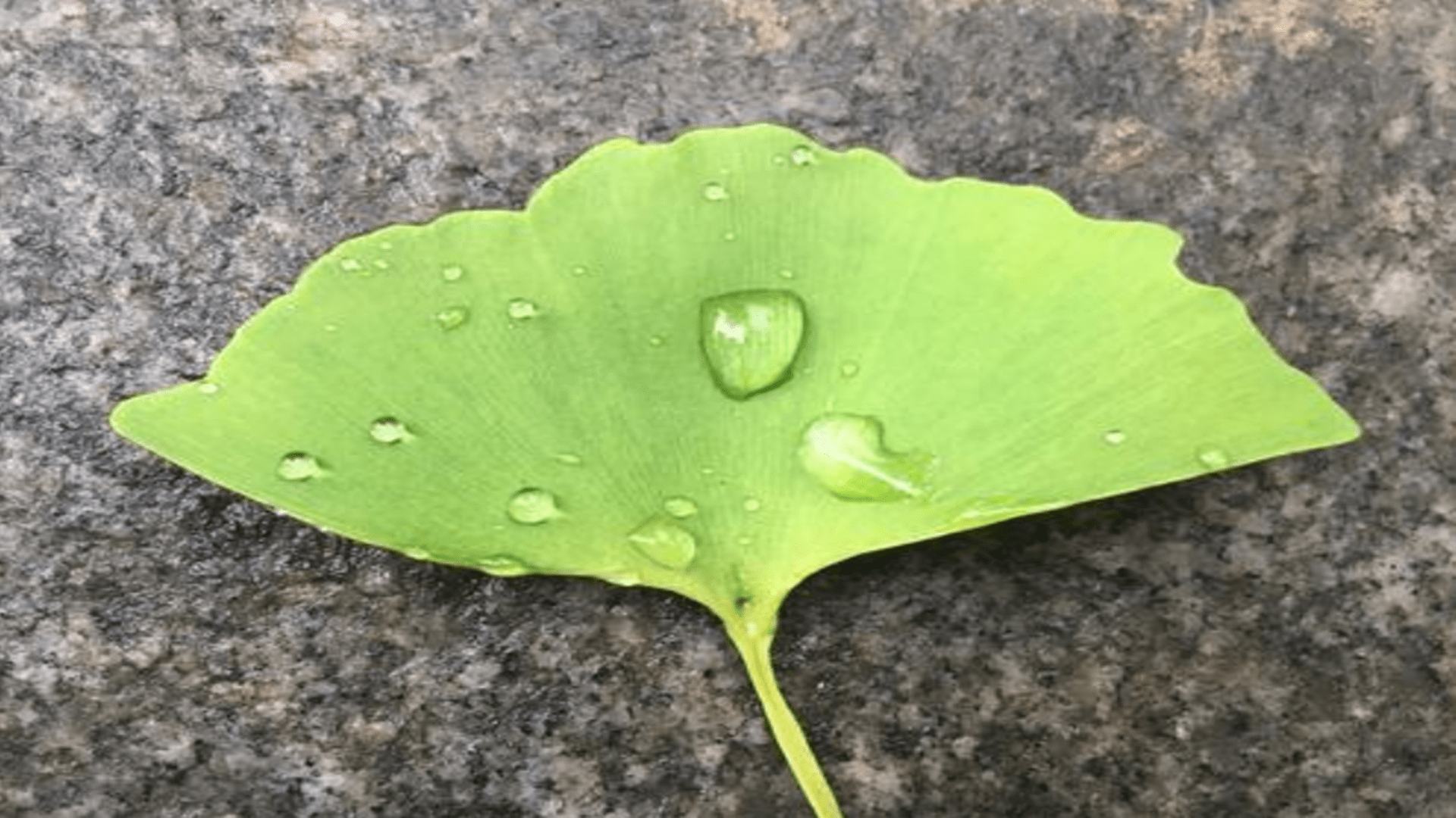 味道|吃燕麦能控糖？糖尿病首选燕麦，可惜很多人吃错了
