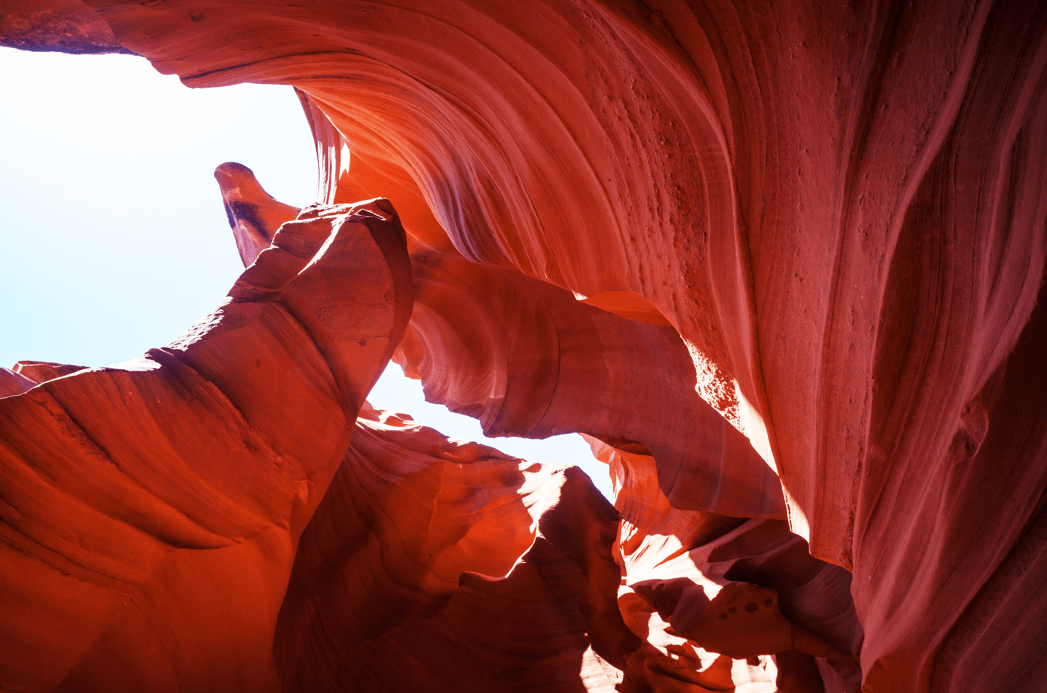 控制|如何预防和治疗颈动脉狭窄？