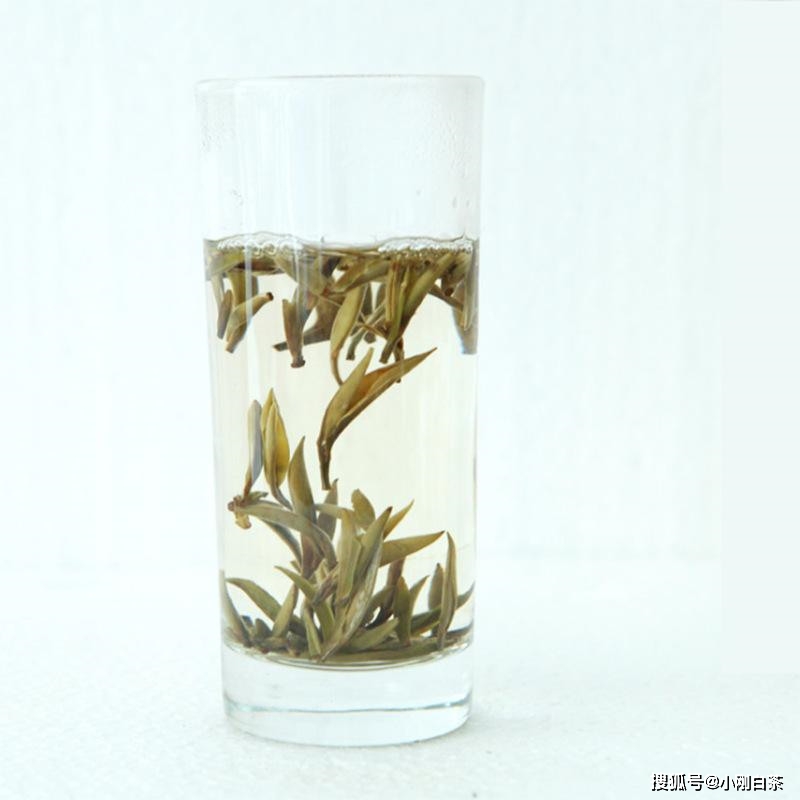 密封|白茶的制作工艺!如何保存白茶?