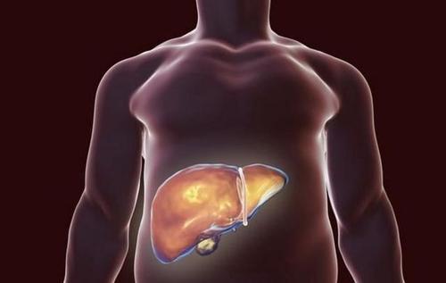 需注意|肝不好，味道”先知“若身上这3个地方“味道重”，占一个，也需注意