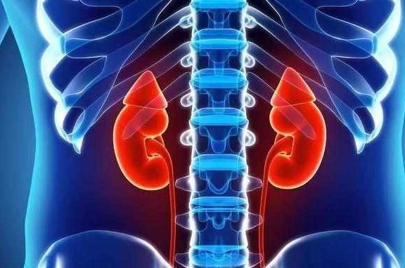 病因|糖尿病为何易发肾病?出现肾病有什么信号?