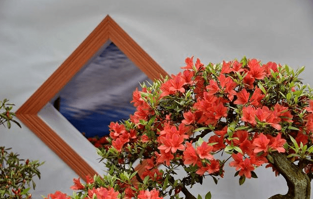 奈元|這世上，有一種距離，無法逾越