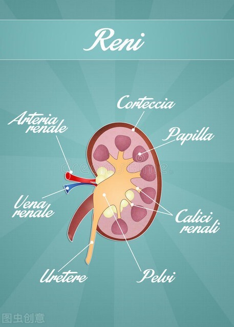 蛋白|得了肾病,符合4个条件的人很幸运,不会碰上尿毒症