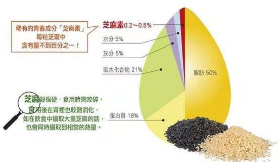 模型|炎症的危害你了解吗 芝麻素的抗炎机制