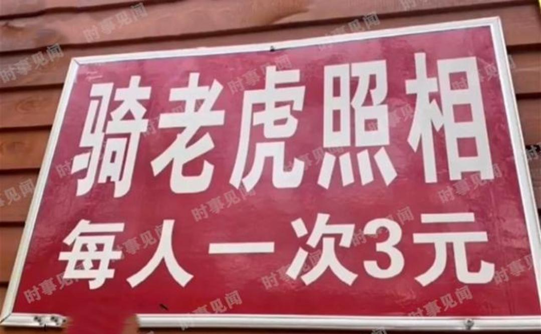 河南一景区推出“骑老虎”业务，每人一次3元，网友：价格很亲民