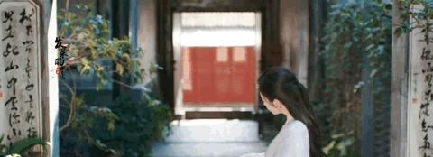 景甜|景甜在《司藤》中的细眉可谓是神来之笔,景甜的仪态也值得开班啊