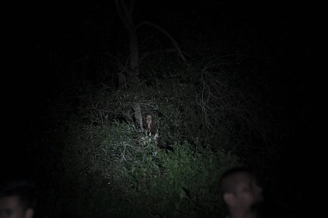 尼姆|泰国恐怖《灵媒》在线完整版~观看