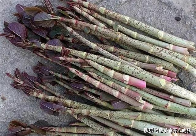 因为|它在国内的名气很大，国外却臭名昭著，80后把它当做零食来吃