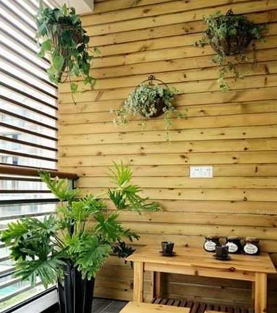 怎样改造阳台成花园 b6f8e395d9354e4198ca0f85e948228a.jpeg