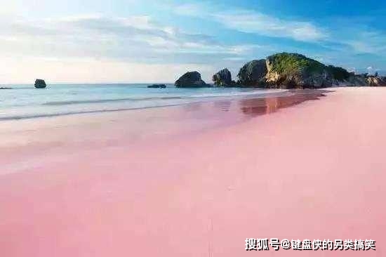 3英里的粉红色沙滩，布满了动物尸骸，却成了游客至爱之地
