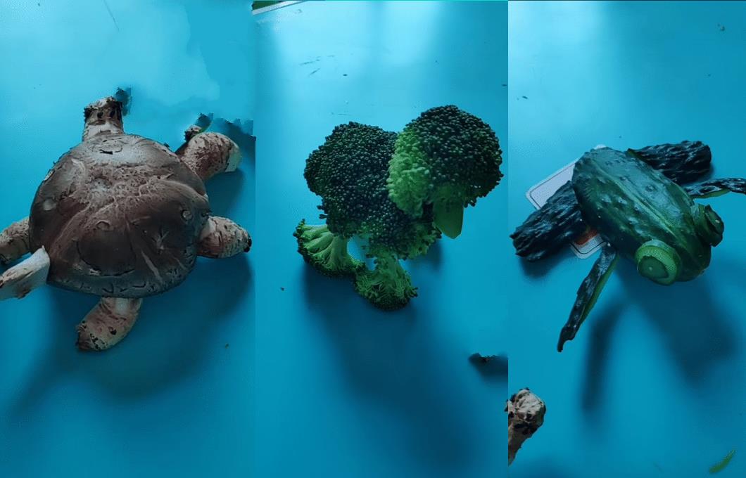 家长|幼儿园作业真的“苦不堪言”？家长：谢谢老师让我“成功经商”