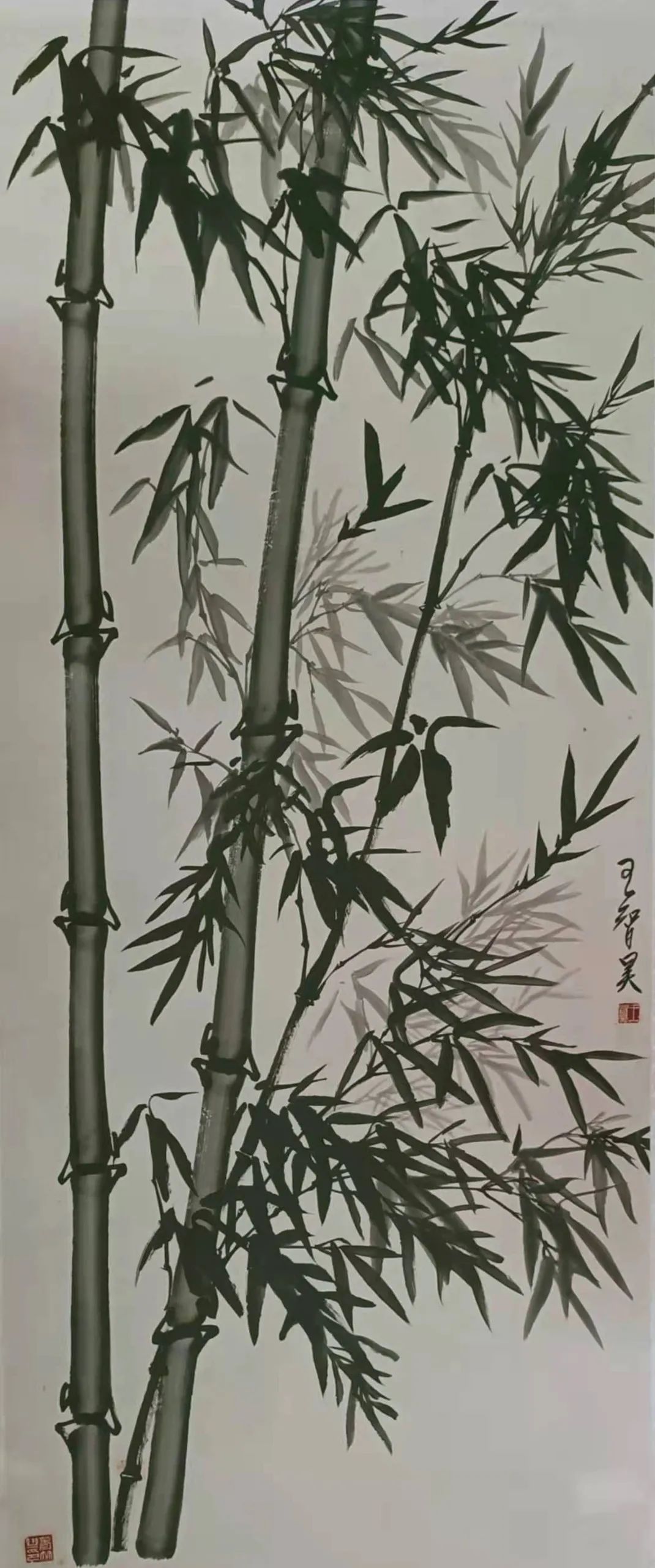 翰墨丹青展风采女画家王智昊墨竹作品欣赏