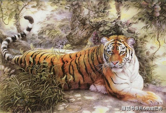 石头画老虎作品 f587aa5a736644548d4de36308c83bed.jpeg