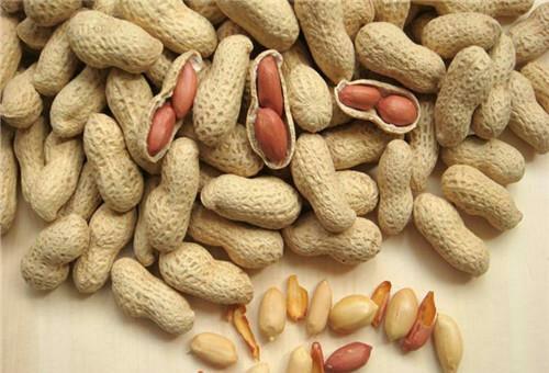 美食|农村有哪食材可以做成美食?