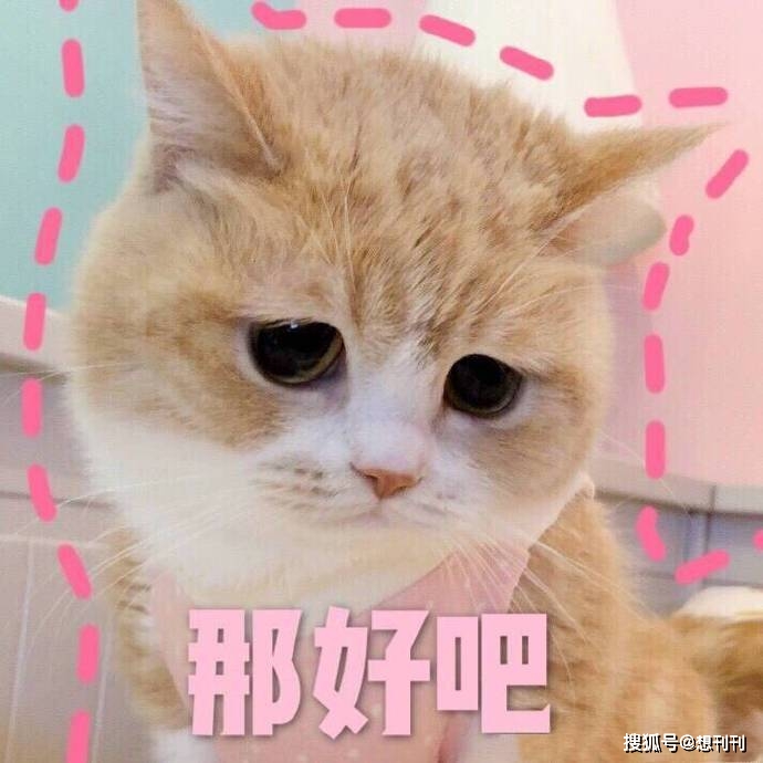 4a890a60d4bb4266bd1fead101b04ca0.jpeg