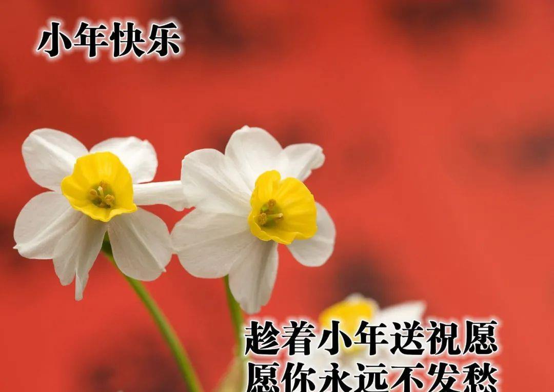 83b891daf7744536ada50fc94068718e.jpeg
