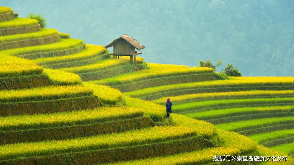 度假区|新地标！秦皇岛将新增一个大型24小时度假区！