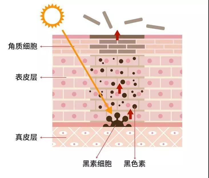 治疗|秋季美白大作战！