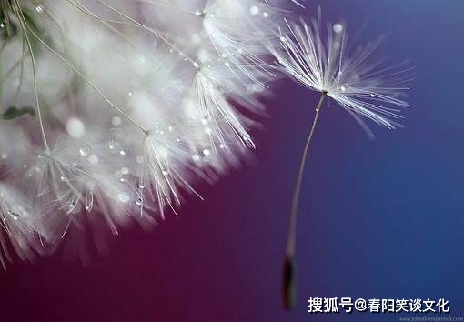 b121448c1b534f98bb6cf054cec302cc.jpeg