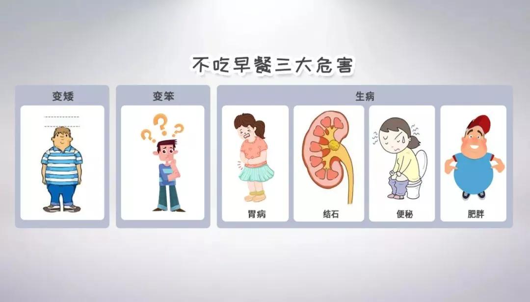 产品|开学季|4分钟搞定营养早餐的秘诀!不吃早餐你会越来越胖!