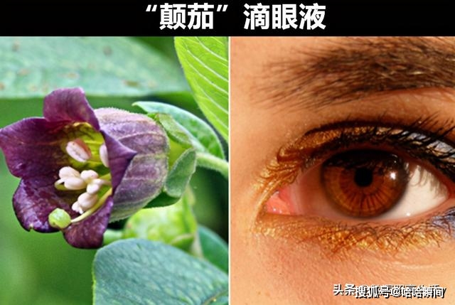 方法|让现代人无法理解的，来自历史上8个“奇葩”的美容方法