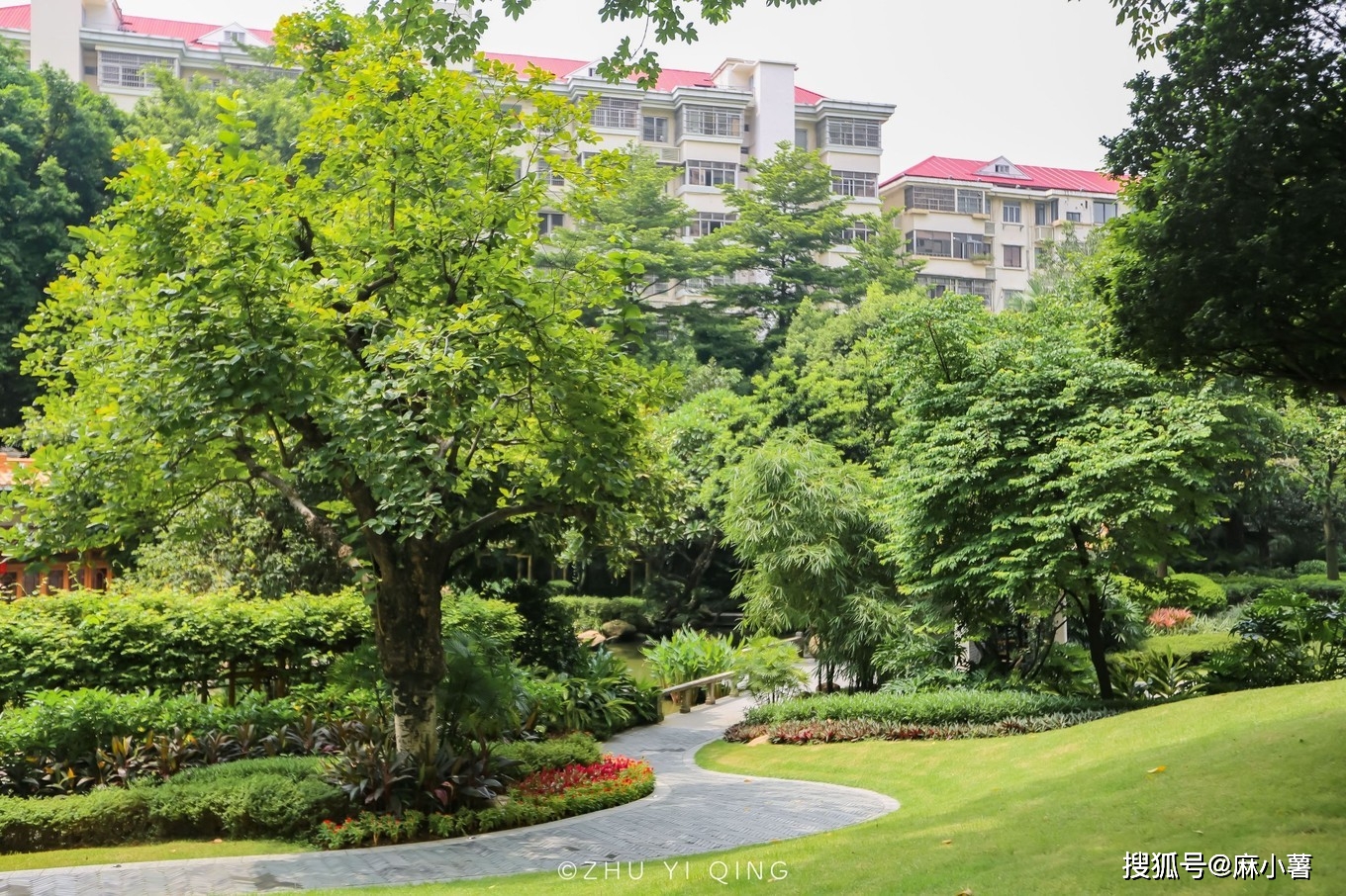 广州市区藏了座2万平的岭南园林，以为是公园，原来是酒店后花园