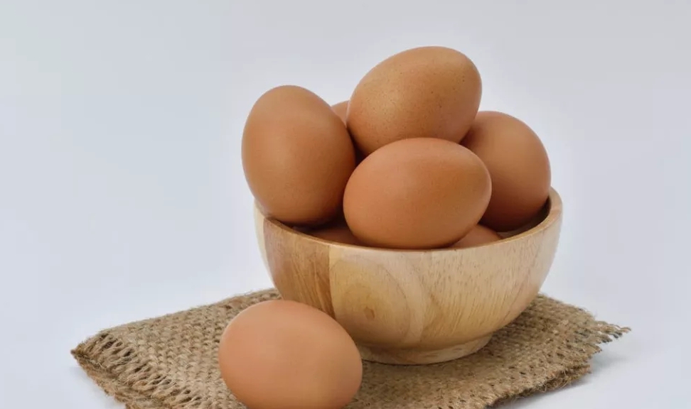 卵白|肾结石患者,是否可以吃鸡蛋?你的理解真的对吗?看专家的理解