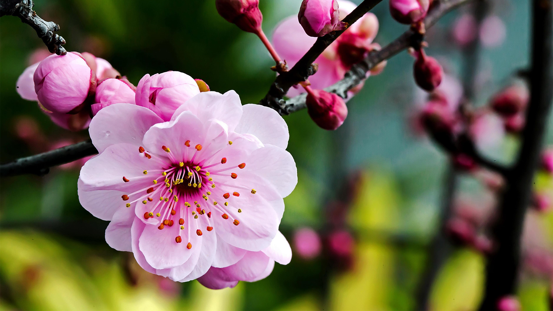 9月4日星座运势:白羊稳扎稳打,狮子另眼相看,水瓶迎接挑战