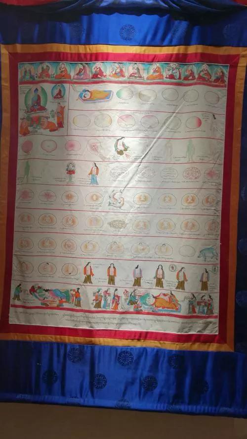 文化|藏地寻医：藏医药的前世今生