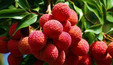 症状|目前:肾结石患者越来越多,多吃这几种食物,帮你预防结石