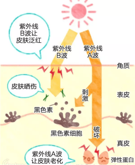 方法|皮肤干痒是缺水吗？教你正确补水护肤方法，恢复水嫩嫩的脸