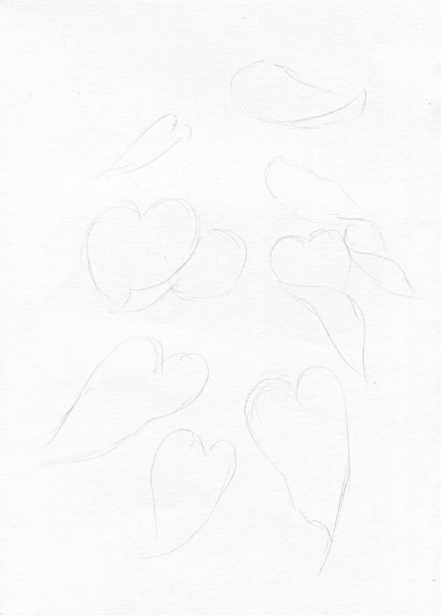叶子|教你画彩铅花卉红掌