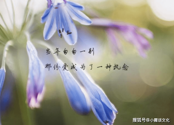 fd678a10571c4f218cd2426b248dd0d6.png