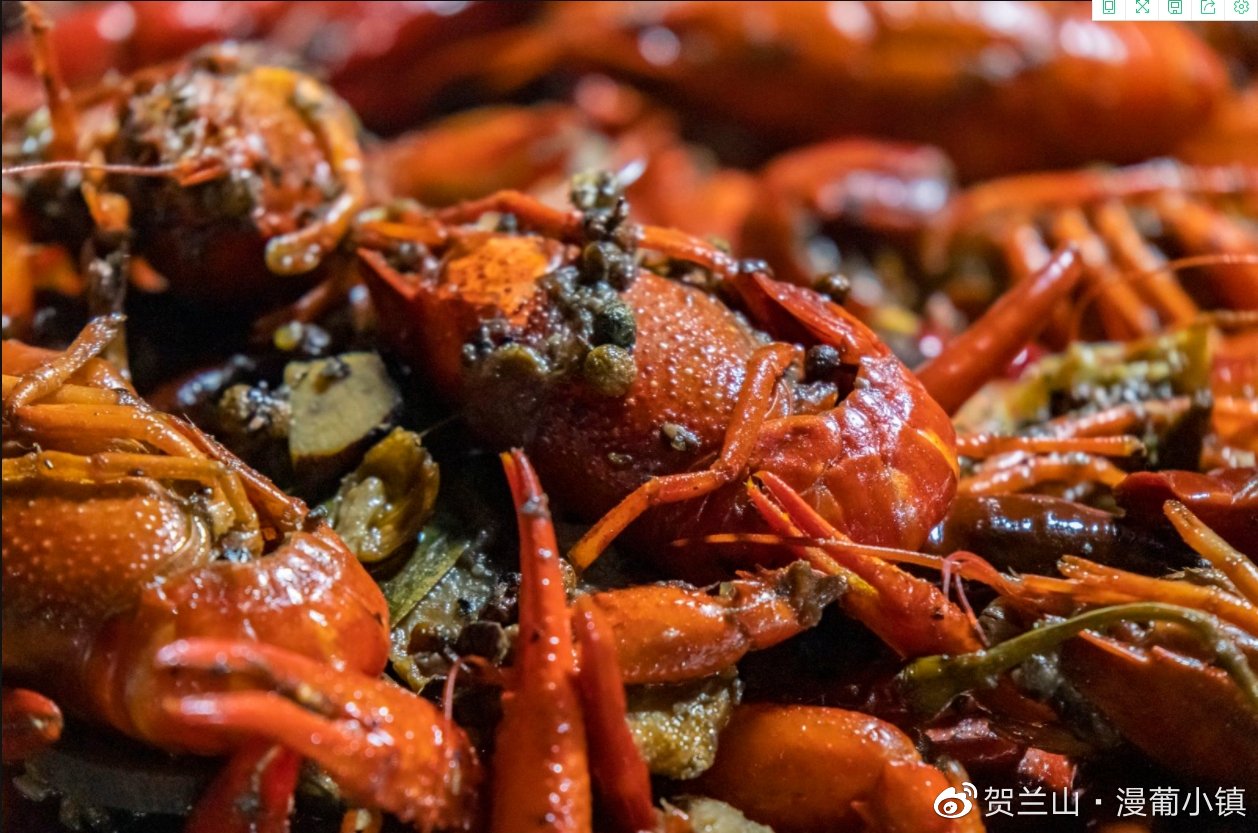 小镇|银川最美小镇旅游攻略,来银川必打卡的小镇!