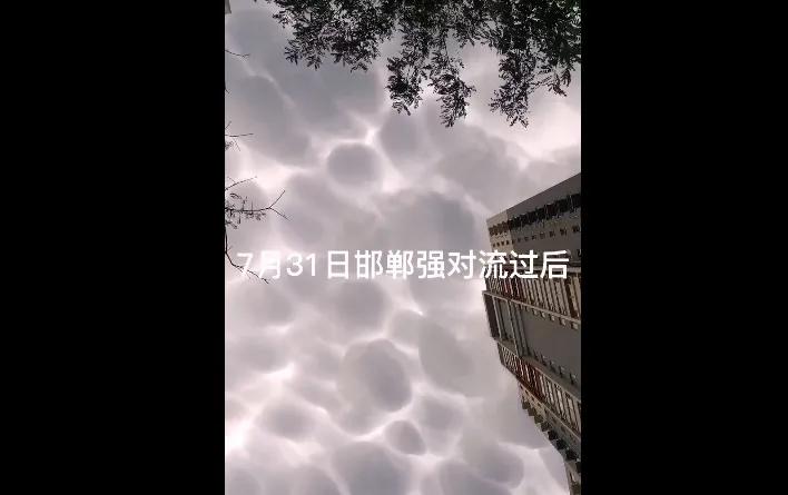 鉴定|“识云冠军”，教你鉴定网络热门“云图”！