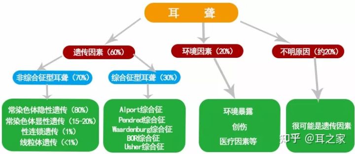 我有必要做耳聋基因检测吗