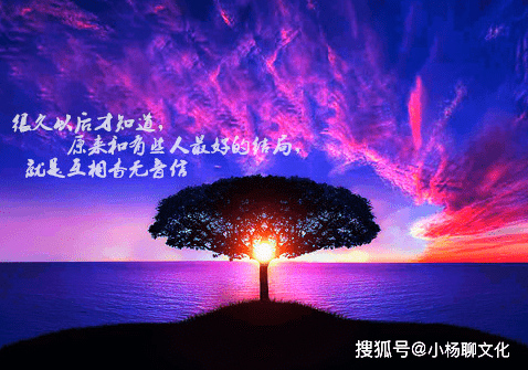 飞蛾扑火的下一句怎么说 754312792af24205a7ef789cb5a46b57.png