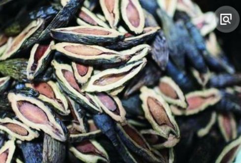 甘蔗|此类不起眼的零食，可能影响好细胞，不妨提前了解一下