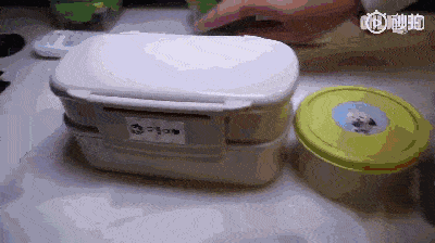 技能|上班族没时间照顾狗狗？狗狗也能上幼儿园啦