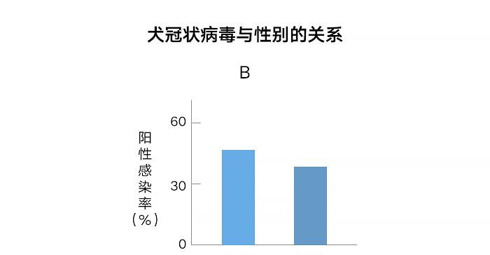 215accba6d57466cb0b291194ae7b743.jpeg