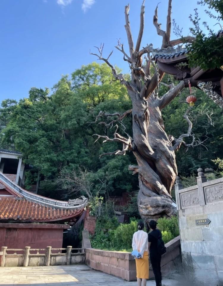 苗苗|苗苗晒夫妻旅游照!产后未满一年变回女神,郑恺发际线抢镜像大叔