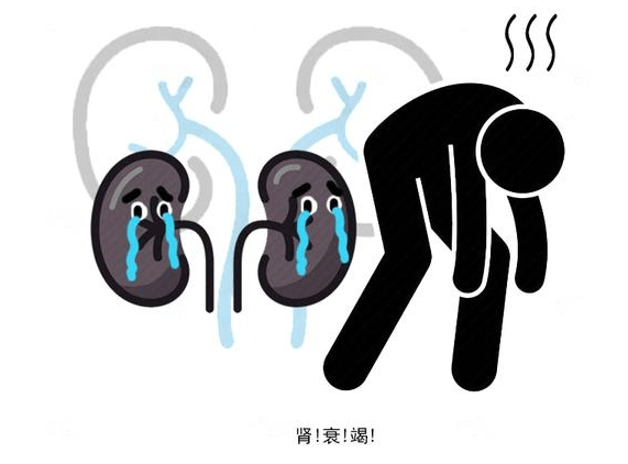 症状|慢性肾病患者近期出现5个症状，需警惕，这或说明尿毒症即将来临