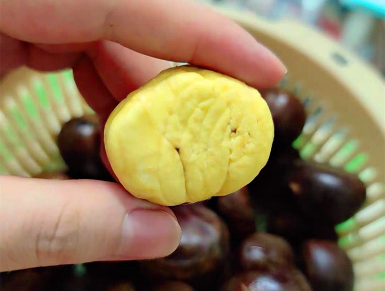 龙眼|明天白露，有钱没钱，这“5宝”别忘了吃，顺应时节，家人更健康