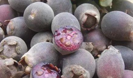 泡泡糖|说说你小时候吃过哪些东西?一听就暴露了年龄!