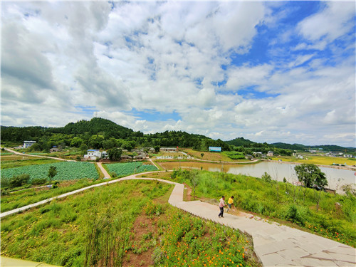 遂宁市安居区精细严实抓实乡村振兴示范区建设