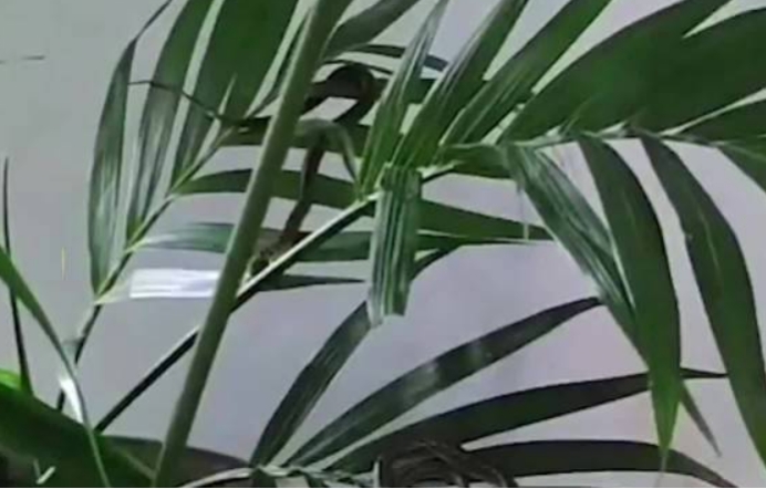 f18379d0f8634bbb97494ce3fc3a1e7b.jpeg