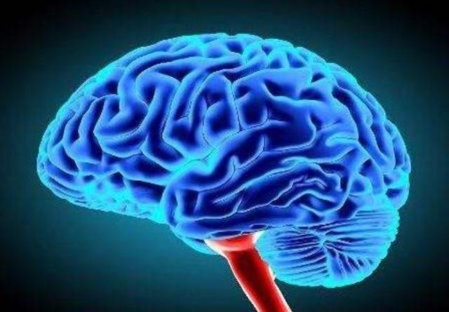 如何防止大脑退化 2267150dd6014084ab734094e3ae2d83.jpeg