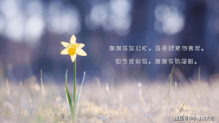 对感情痛到心碎的说说,曾经为爱痴狂,后来为爱忧伤