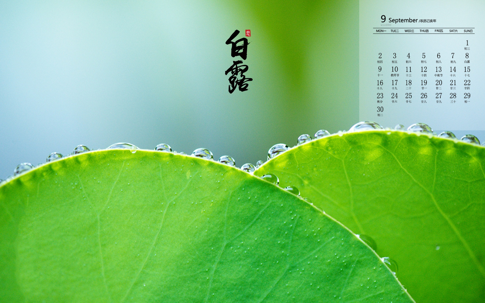 等秋叶渐黄,等白露为霜,愿朝暮与岁月并往,与你一同行至天光