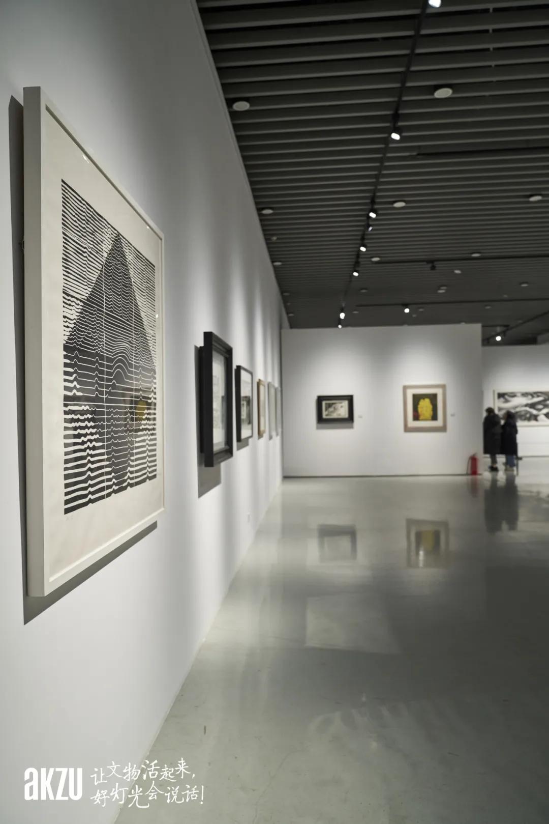 博物馆照明之江西省美术馆:勇猛精进,埃克苏灯光演绎虚苑版画十年历程